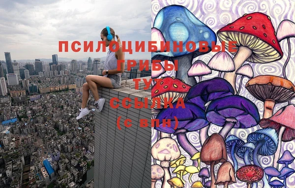 PSILOCYBIN Абаза