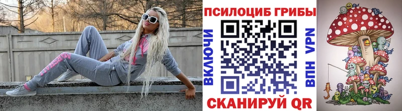 Галлюциногенные грибы Psilocybine cubensis  купить   Рославль 