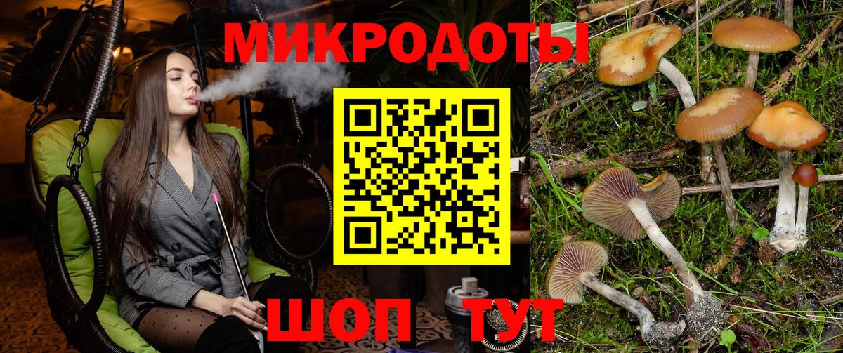 Псилоцибиновые грибы Cubensis Рославль