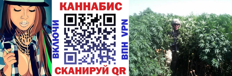 Конопля Bruce Banner  Рославль 